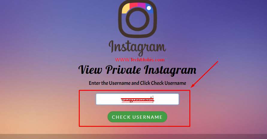 How to see a private instagram without following no survey How to see a private instagram without following no survey